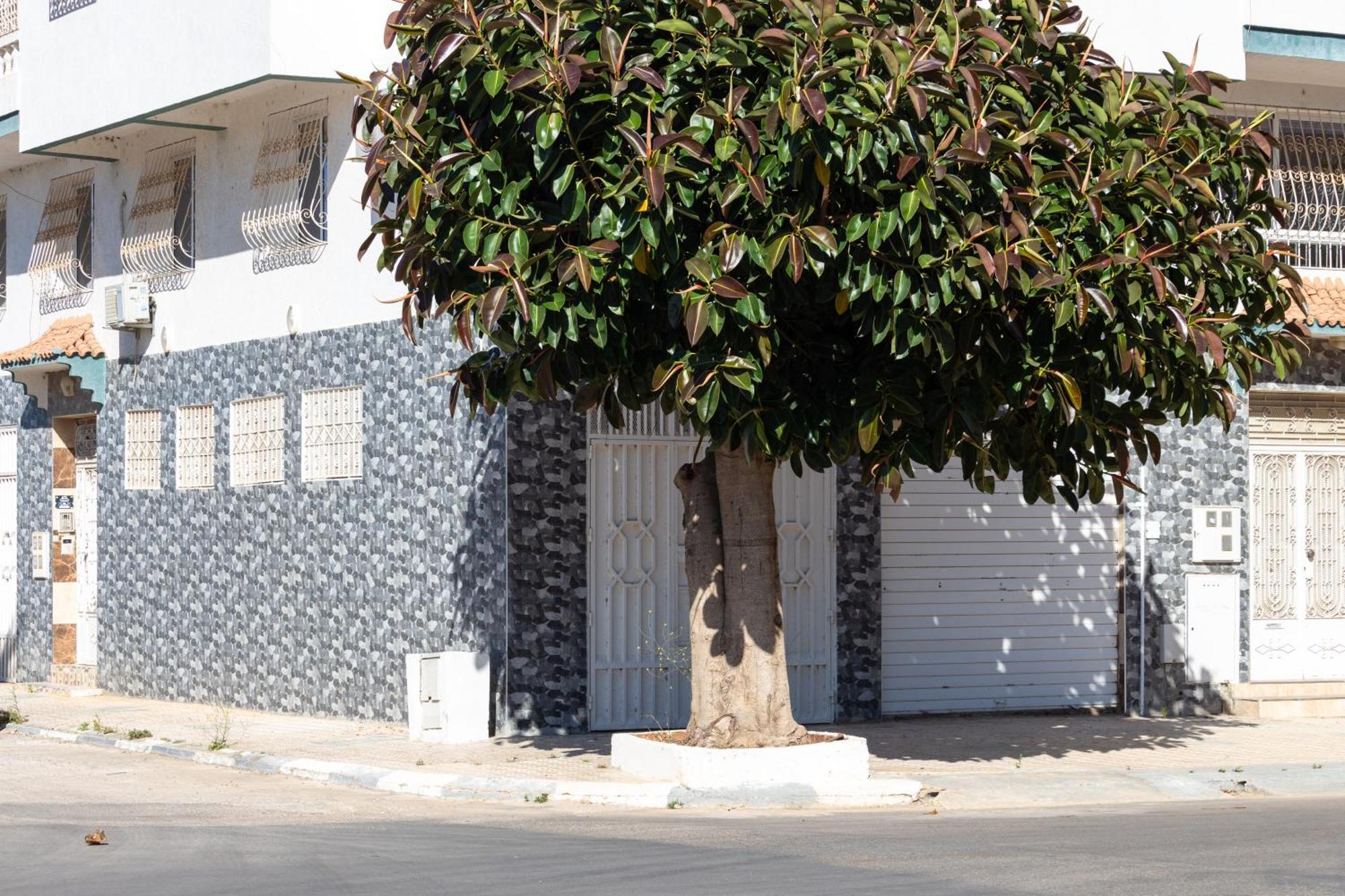 Appartements Calmes Et Spacieux Tétouan Zewnętrze zdjęcie